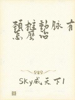 颈椎动脉有斑块怎么治