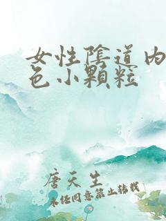 女性阴道内有白色小颗粒