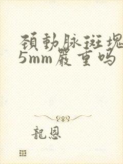 颈动脉斑块4.5mm严重吗