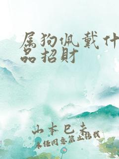 属狗佩戴什么饰品招财