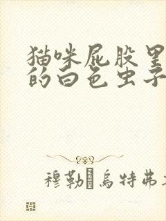 猫咪屁股里爬出的白色虫子是什么