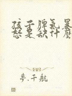 孩子脾气暴躁易怒是缺什么