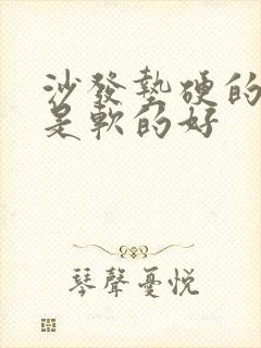 沙发垫硬的好还是软的好