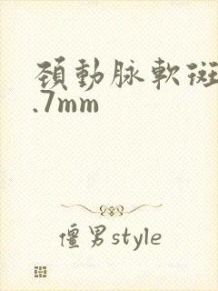 颈动脉软斑块1.7mm