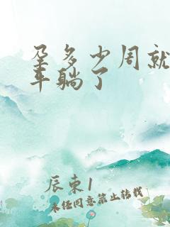 孕多少周就不能平躺了