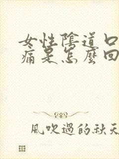 女性阴道口有点痛是怎么回事