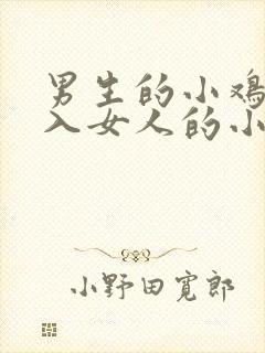 男生的小鸡鸡插入女人的小鸡鸡