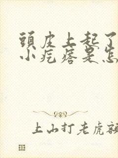 头皮上起了好多小疙瘩是怎么回事