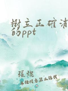 树立正确消费观的ppt