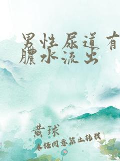 男性尿道有白色脓水流出