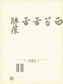 胖舌舌苔白腻齿痕