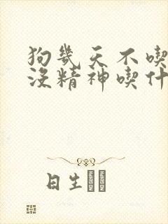 狗几天不吃东西没精神吃什么药