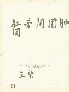 肛旁周围肿块病因