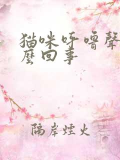 猫咪呼噜声大怎么回事