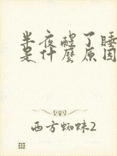 半夜醒了睡不着是什么原因?