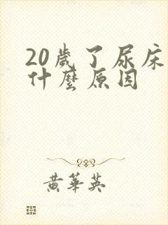 20岁了尿床是什么原因