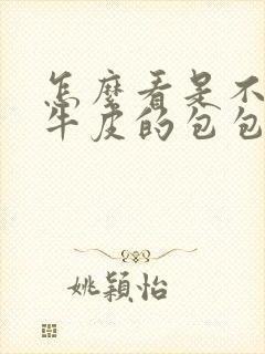 怎么看是不是真牛皮的包包