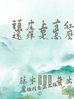 头皮上有红疙瘩还痒是怎么回事