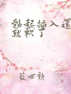 勃起插入还没射就软了