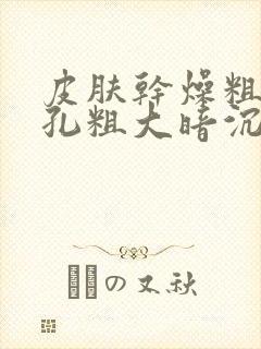 皮肤干燥粗糙毛孔粗大暗沉该怎么办