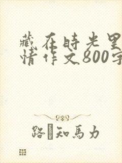 藏在时光里的真情作文800字初中