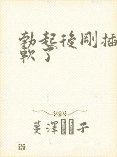 勃起后刚插入就软了