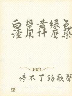 白带黄绿色豆腐渣用什么药