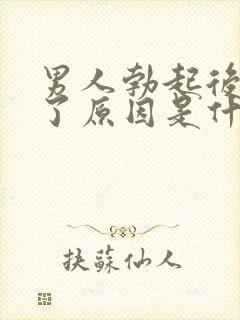 男人勃起后又软了原因是什么