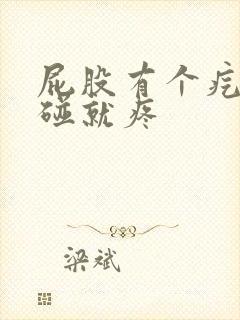 屁股有个疙瘩一碰就疼