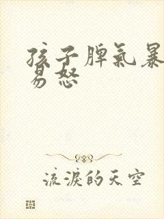 孩子脾气暴躁的易怒