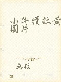 小牛犊拉黄屎的图片