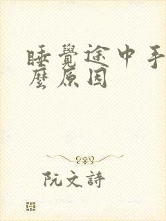 睡觉途中手麻什么原因