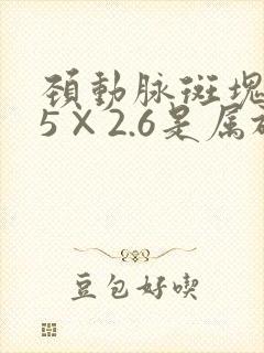 颈动脉斑块8.5×2.6是属于严重的吗
