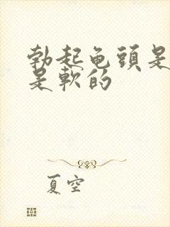 勃起龟头是硬还是软的