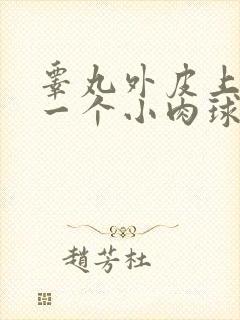 睾丸外皮上长了一个小肉球硬硬的