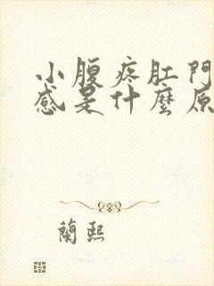 小腹疼肛门下坠感是什么原因