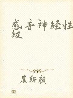 感音神经性聋分级