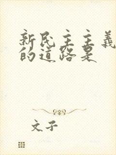 新民主主义革命的道路是