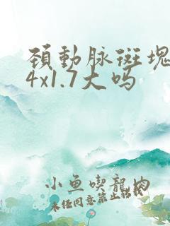 颈动脉斑块7.4x1.7大吗