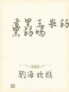 煮黑玉米的水是黑的吗