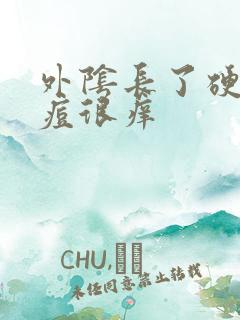 外阴长了硬硬痘痘很痒