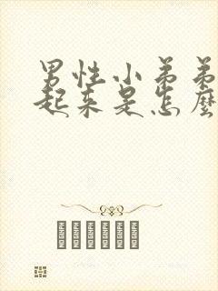 男性小弟弟硬不起来是怎么回事