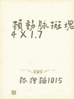 颈动脉斑块3.4×1.7