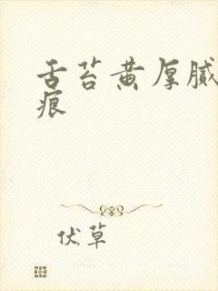 舌苔黄厚腻有齿痕