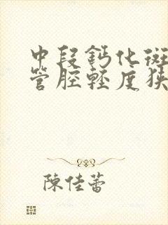 中段钙化斑块伴管腔轻度狭窄