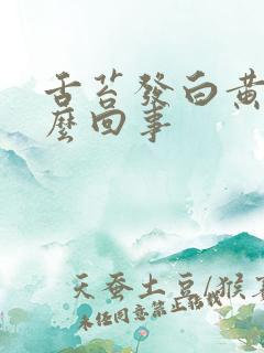 舌苔发白黄是怎么回事