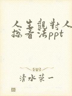 人生观对人生的总看法ppt