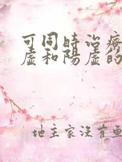 可同时治疗肾阴虚和阳虚的药