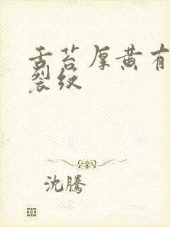 舌苔厚黄有齿痕裂纹