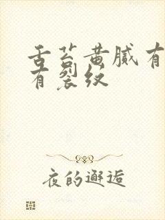 舌苔黄腻有齿痕有裂纹